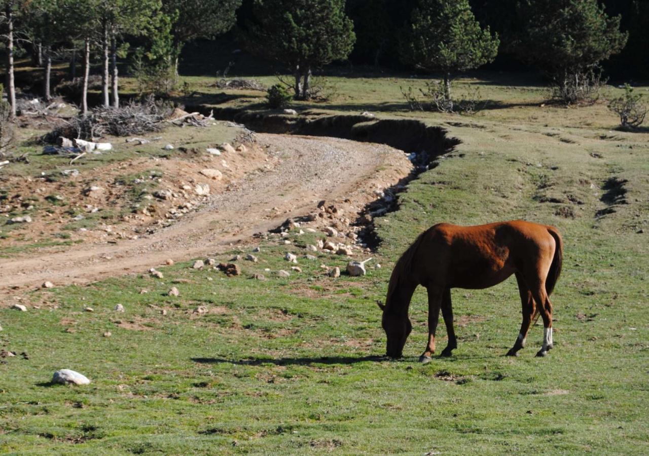 Apartamento Con Encanto En El Pirineo La Pobla de Lillet Kültér fotó